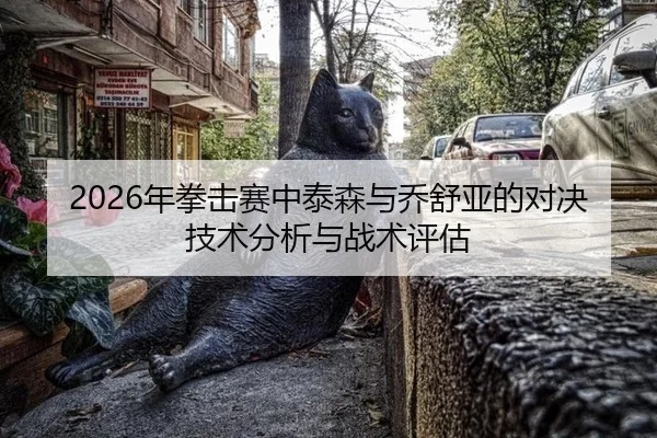 2026年拳击赛中泰森与乔舒亚的对决技术分析与战术评估