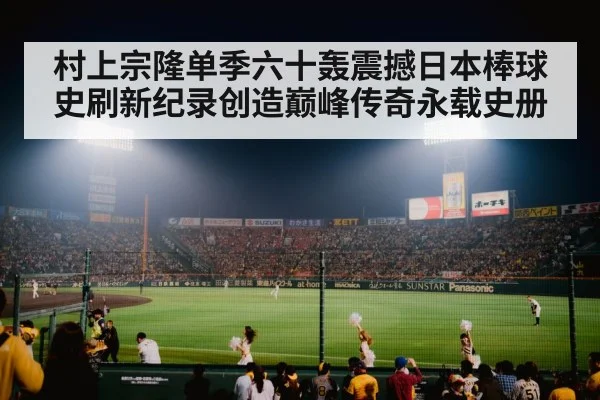 baseball stadium night game