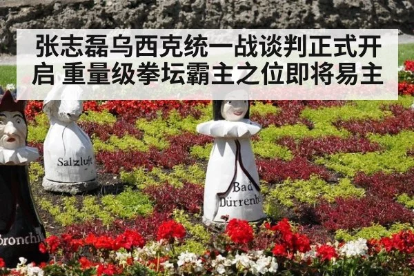 张志磊乌西克统一战谈判正式开启 重量级拳坛霸主之位即将易主